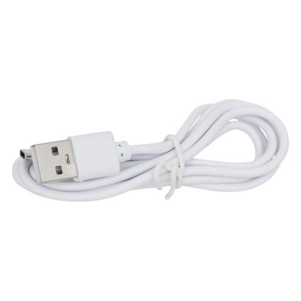 Atmosphera - LED RGBW Akumulatorowa zewnętrzna lampa stołowa ZACK LED/3,7V 1200 mAh IP44 turkusowa