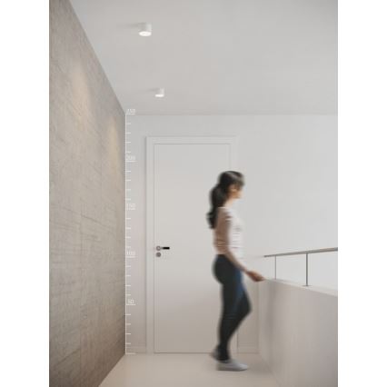 Azzardo AZ2252 - LED oprawa sufitowa MONZA LED/5W/230V