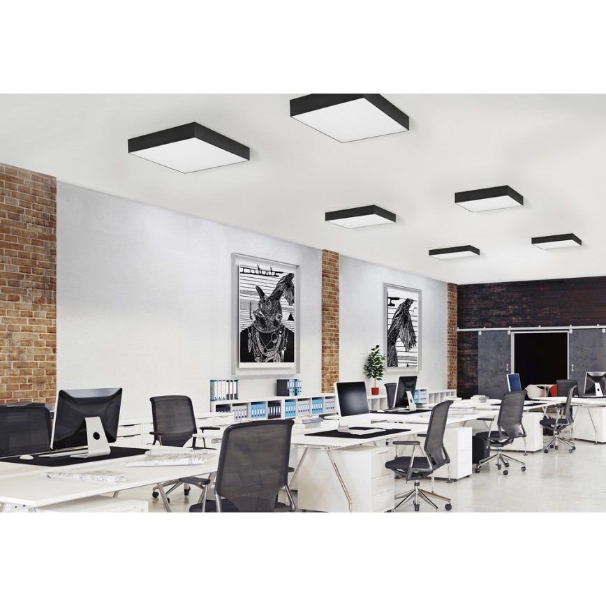 Azzardo AZ2274 - LED Plafon MONZA SQUARE 1xLED/50W/230V