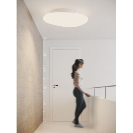 Azzardo AZ2671 - LED Plafon ściemnialny DONUT LED/216W/230V + zdalne sterowanie