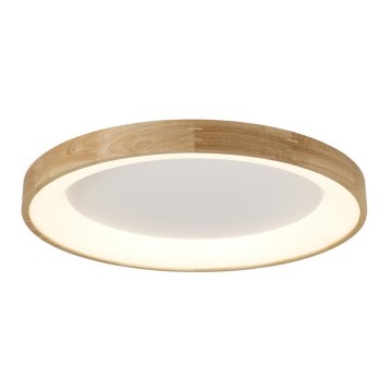 Azzardo AZ2698 - Lampa sufitowa LED SILVAM LED/50W/230V