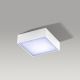Azzardo AZ2781 - LED Plafon FALCO LED/12W/230V