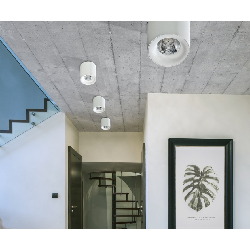 Azzardo AZ2845 - Lampa sufitowa LED MANE LED/10W/230V