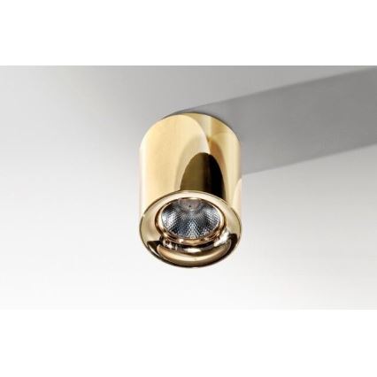 Azzardo AZ2846 - LED lampa sufitowa MANE LED/10W/230V