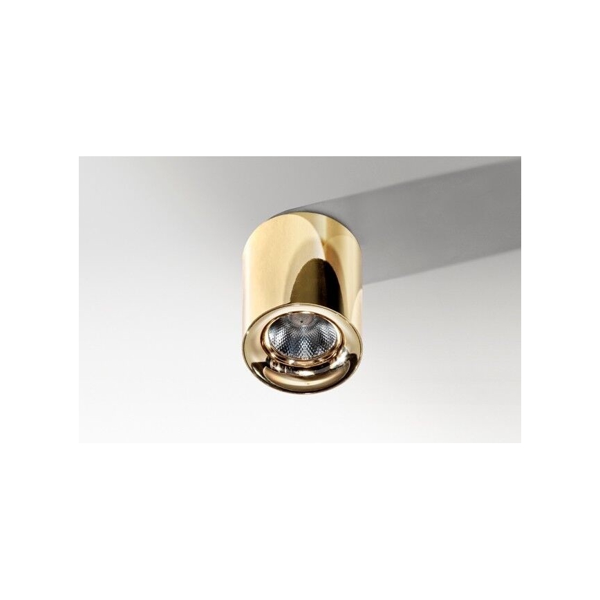 Azzardo AZ2846 - LED Plafon MANE 1xLED/10W/230V