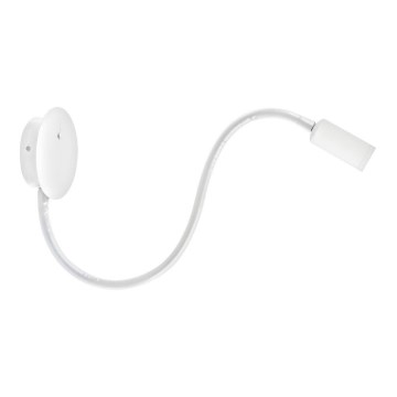 Azzardo AZ2944 - LED kinkiet punktowy NOGAT LED/3W/230V