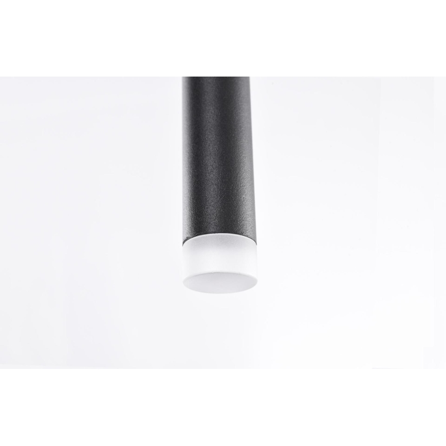 Azzardo AZ3155 - LED Żyrandol na lince LOUISE LED/3W/230V