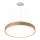 Azzardo AZ3344 - Lampa wisząca LED na linkę SILVAM LED/30W/230V