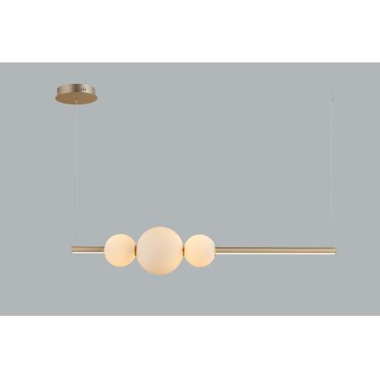 Azzardo AZ4427 - LED Dimmable żyrandol on a string SANDRA LED/48W/230V gold