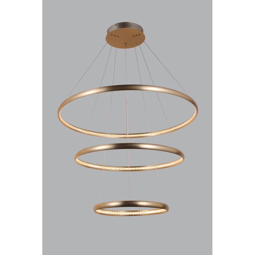 Azzardo AZ4429 - LED Żyrandol na lince BRIGHTON LED/55W/230V gold