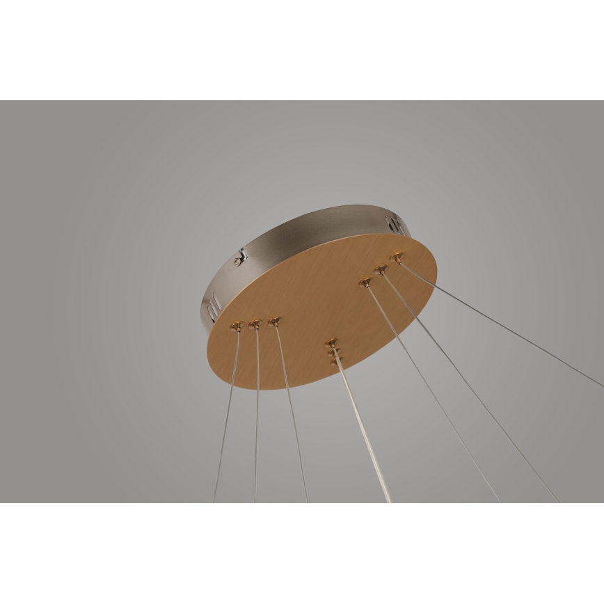 Azzardo AZ4429 - LED Żyrandol na lince BRIGHTON LED/55W/230V gold