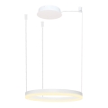 Azzardo AZ4967 - Regulowany żyrandol LED na linkach HALO LED/47W/230V śr. 60 cm biały