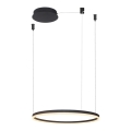 Azzardo AZ4968 - Regulowany żyrandol LED na linkach HALO LED/47W/230V śr. 60 cm czarny