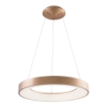 Azzardo AZ5000 - Lampa wisząca LED na linkach SANTANA LED/30W/230V złota