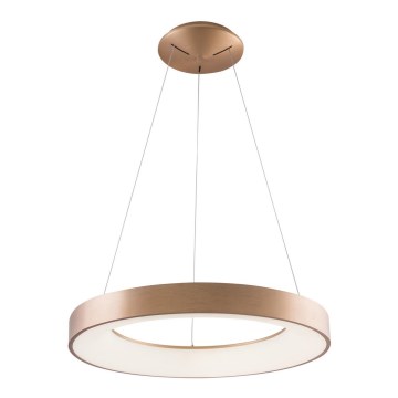 Azzardo AZ5000 - Lampa wisząca LED na linkach SANTANA LED/30W/230V złota