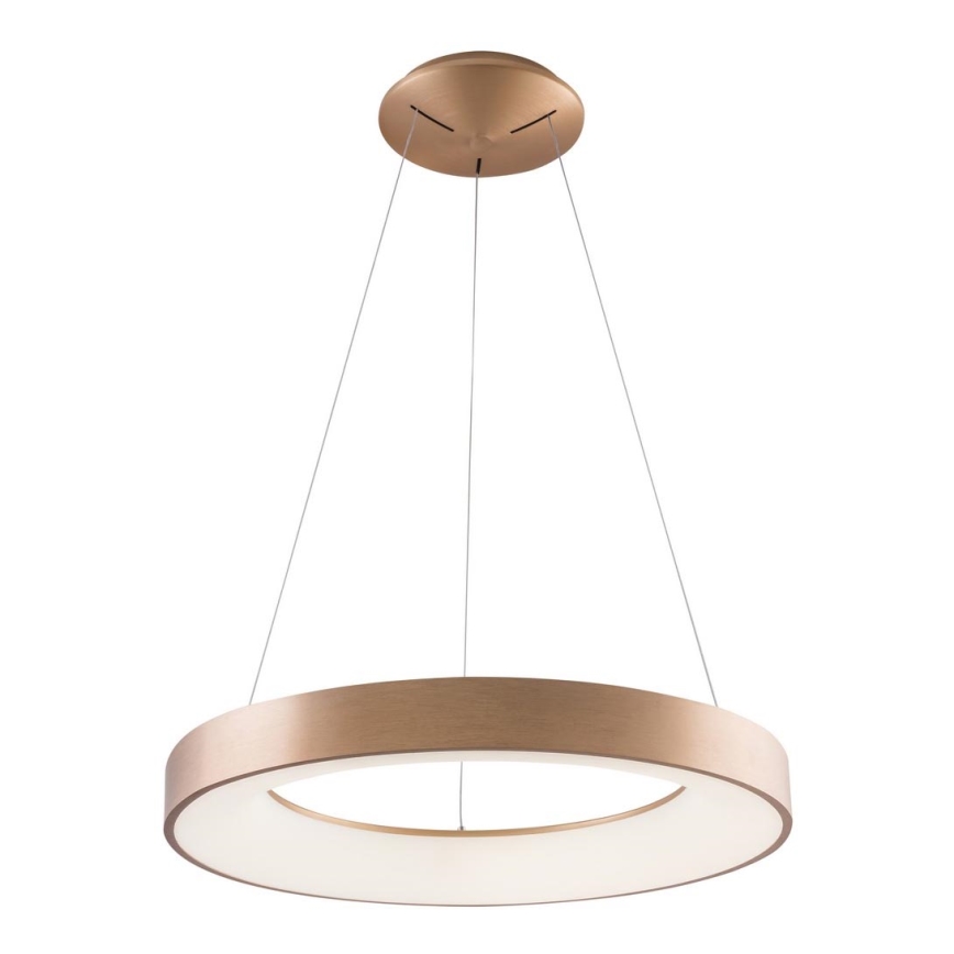 Azzardo AZ5000 - Lampa wisząca LED na linkach SANTANA LED/30W/230V złota
