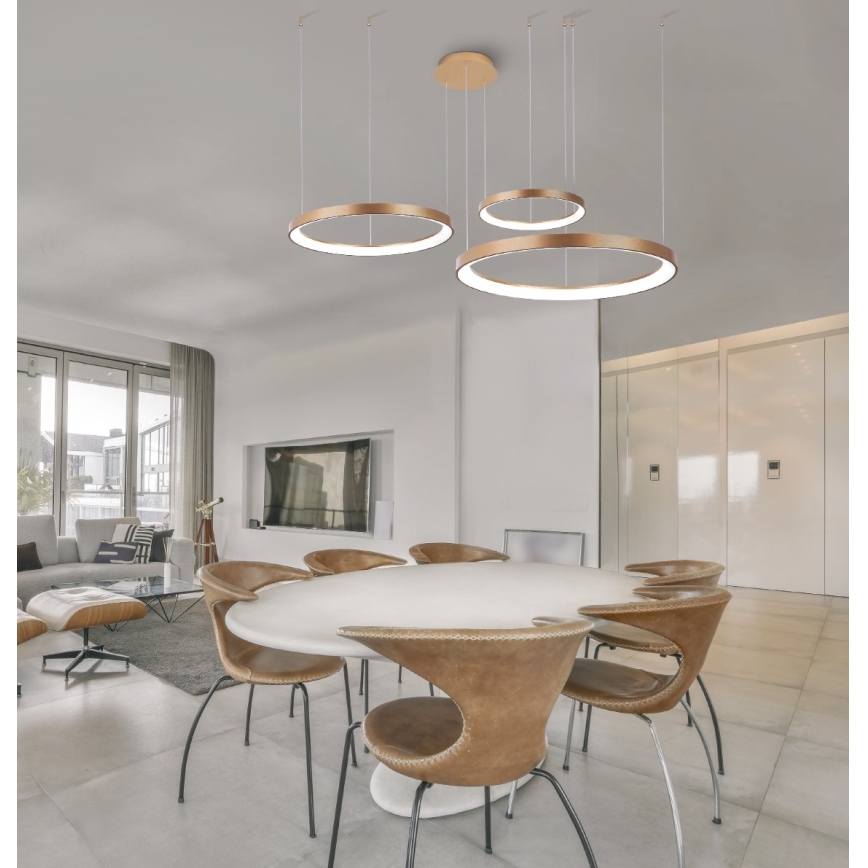 Azzardo AZ5026 - Regulowany żyrandol LED na linkach AGNES LED/120W/230V złoty