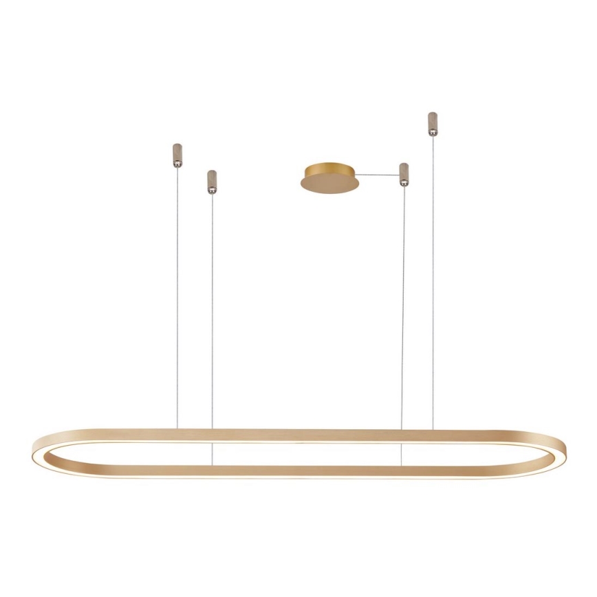 Azzardo AZ5056 - LED Żyrandol ściemnialny na lince ELENA LED/50W/230V 120 cm złoty