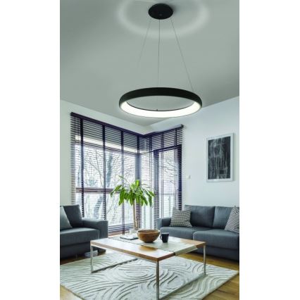 Azzardo AZ5063 - LED Żyrandol ściemnialny na lince ANTONIO LED/50W/230V czarny + pilot