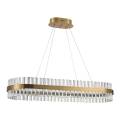 Azzardo AZ5263 - LED Żyrandol na lince FRANCESCA LED/64W/230V 100 cm