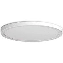 Azzardo AZ5369 - LED Ściemnialny plafon łazienkowy PANKA LED/45W/230V IP40 biały