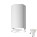 Białe, ściemniane punktowe oświetlenie łazienkowe LED RGBW TURYN 1xGU10/6,5W/230V 2700-6500K Wi-Fi IP44