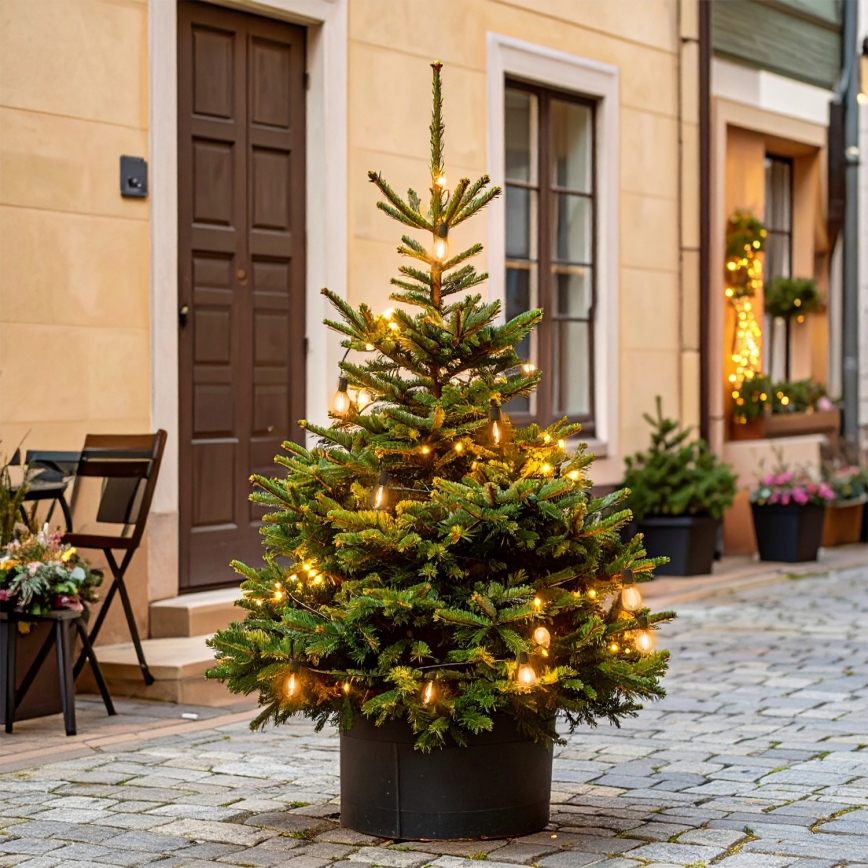 Brilagi - Girlanda świąteczna LED zewnętrzna 10xLED/3xAA 3,2m IP44 ciepła biała