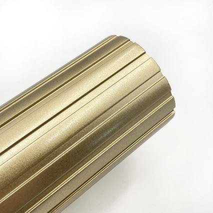 Brilagi - Kinkiet punktowy CRISPINA 1xGU10/10W/230V złoty