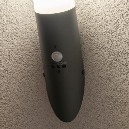 BRILAGI - Kinkiet zewnętrzny z czujnikiem ruchu ELIA 1xE27/20W/230V IP44 antracyt