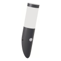 Brilagi - Kinkiet zewnętrzny z czujnikiem ruchu ELIA 1xE27/20W/230V IP44 antracyt