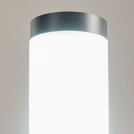 BRILAGI - Lampa zewnętrzna LED ELIA z gniazdem 1xE27/7W/230V 4000K IP44 50 cm antracyt