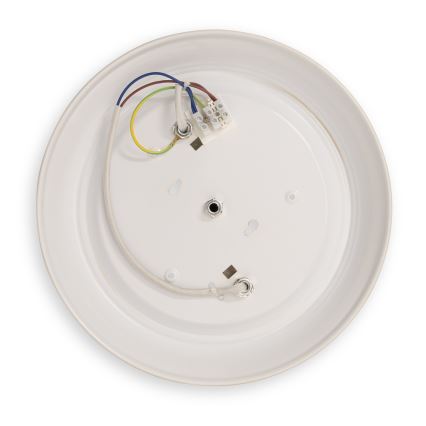 BRILAGI - Lampa sufitowa FRESCO 2xE27/40W/230V śr. 28 cm złota