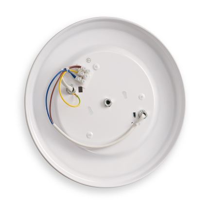 BRILAGI - Lampa sufitowa FRESCO 2xE27/40W/230V śr. 30 cm mosiądz