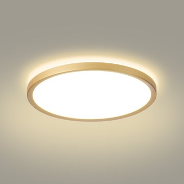 Brilagi - Lampa sufitowa łazienkowa LED ULTRA SLIM 24W 230V Ø 42 cm złota IP54