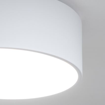 BRILAGI - Lampa sufitowa łazienkowa POOL 2xE27/15W/230V śr. 30 cm IP54 biała