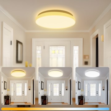 Brilagi - Lampa sufitowa LED MILKY WAY, 24W, 230V, 3000/4000/6500K, średnica 38 cm