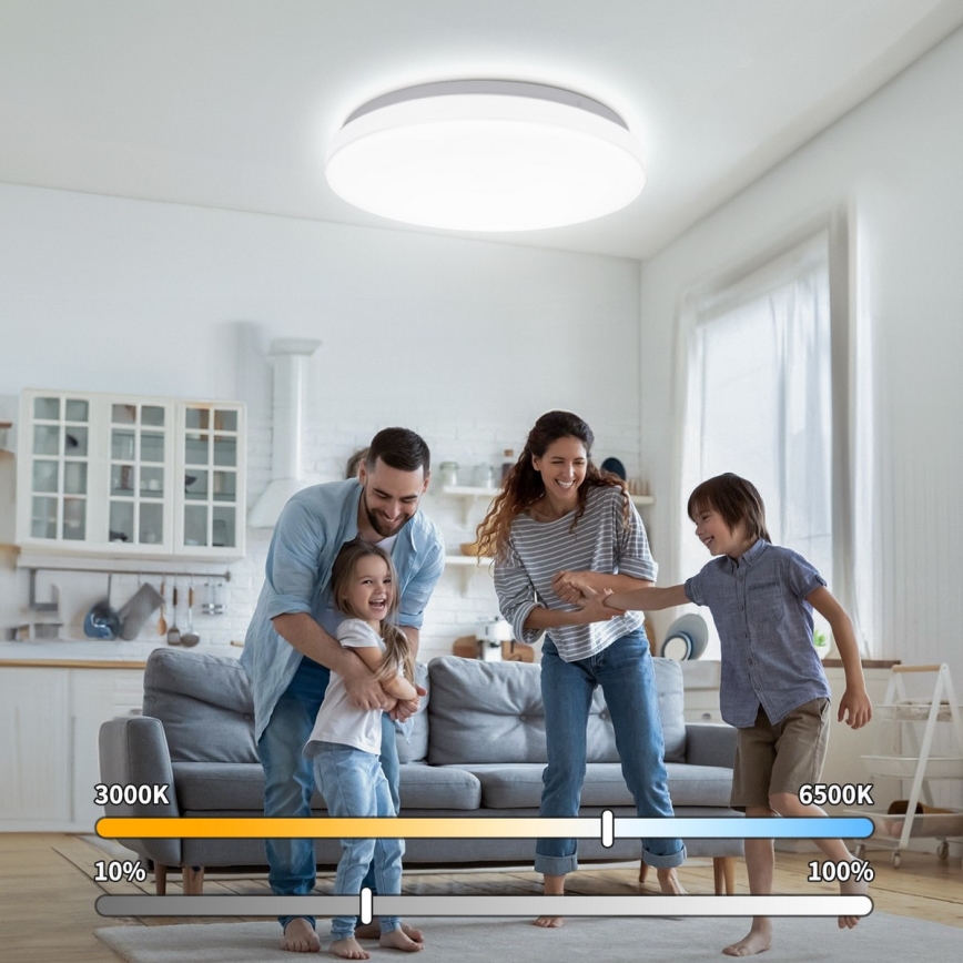 Brilagi - Lampa sufitowa LED MILKY WAY, 24W, 230V, 3000/4000/6500K, średnica 38 cm