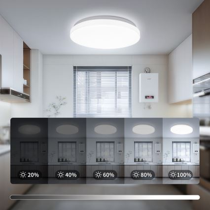 Brilagi - Lampa sufitowa LED MILKY WAY, 24W, 230V, 3000/4000/6500K, średnica 38 cm