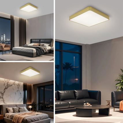 Brilagi - Lampa sufitowa LED POOL LED/48W/230V 3000/4000/6000K 50x50 cm złota