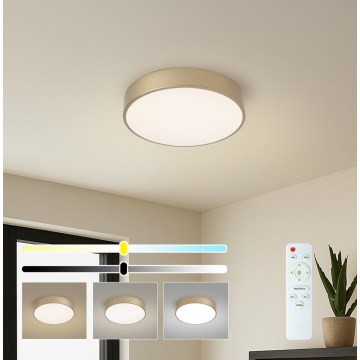 Brilagi - Lampa sufitowa LED ściemnialna POOL LED/36W/230V 3000–6000K Ø 30 cm, złota + pilot zdalnego sterowania