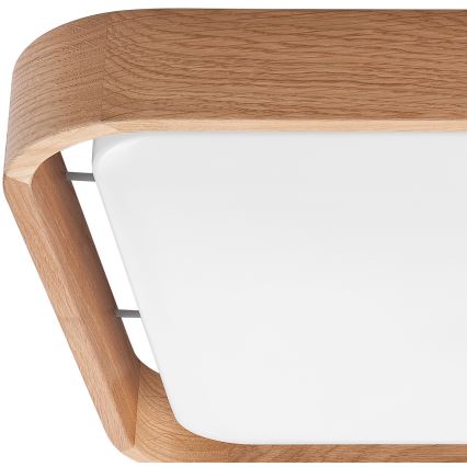 Brilagi - LED Regulowane natynkowe oświetlenie sufitowe MANAROLA CUBIC LED/24W/230V 3000-6500K dąb + pilot zdalnego sterowania