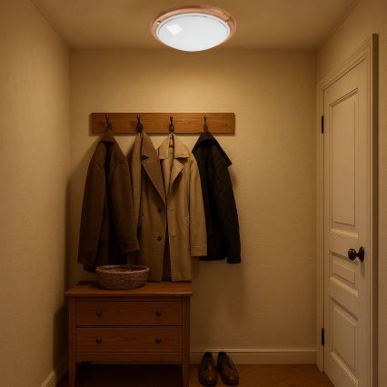 Brilagi - Lampa sufitowa ORBIS 2xE27/60W/230V śr. 38 cm sosna