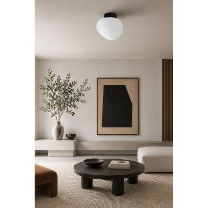 BRILAGI - Lampa sufitowa PEBBLES 1xE27/40W/230V śr. 20 cm czarna