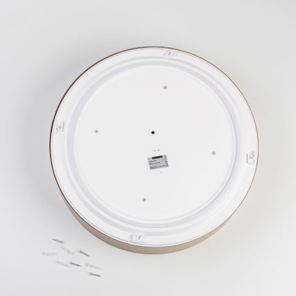 BRILAGI - Lampa sufitowa POOL 4xE27/15W/230V Ø 50 cm IP54 beżowy