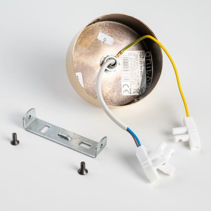 BRILAGI - Lampa sufitowa VULCANO 1xG9/8W/230V złota/dymna beżowa