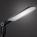 Brilagi - Lampa uliczna LED URBANLIGHT LED/250W/230V czarna IP65