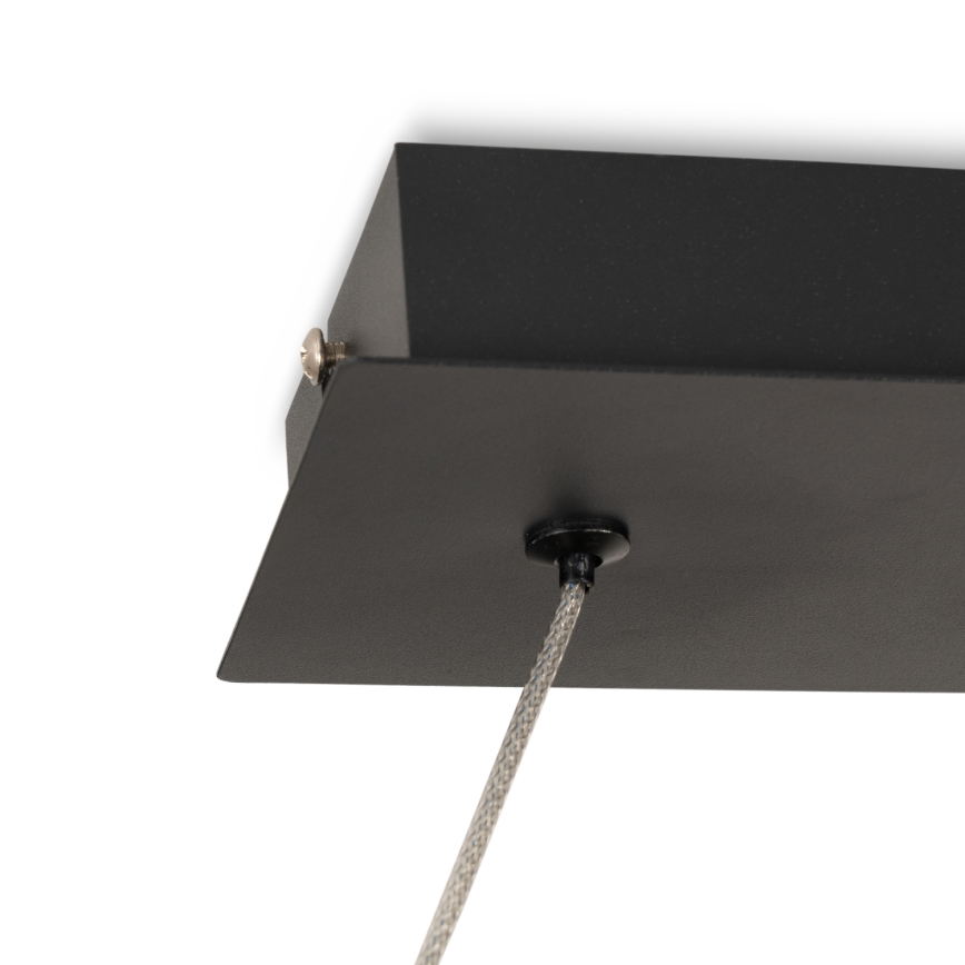 Brilagi - Lampa wisząca LED na lince ECHO LED/60W/230V 4000K 100 cm czarna