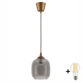 Brilagi - Lampa wisząca LED na lince RETRO GLASS 1xE27/60W/230V śr. 14 cm brązowa/dymnoszara