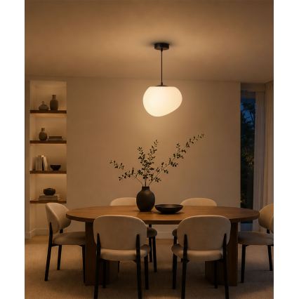 BRILAGI - Lampa wisząca na lince PEBBLES 1xE27/40W/230V śr. 25 cm czarna