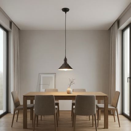BRILAGI - Lampa wisząca na przewodzie FORGE 1xE27/60W/230V Ø 22 cm brązowa